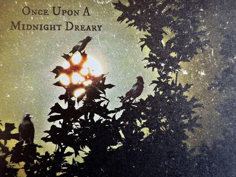 May include: An artistic image featuring three birds perched on a tree branch, silhouetted against a bright, glowing sun. The text "Once Upon A Midnight Dreary" is at the top. The overall color palette is dark with a vintage, textured effect.