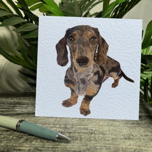 Sausage Dog Greetings Card | Dappled Dachshund Card | Blank Inside | Personalised message option | 146-146mm | Dog Greeting Card | Drawing
