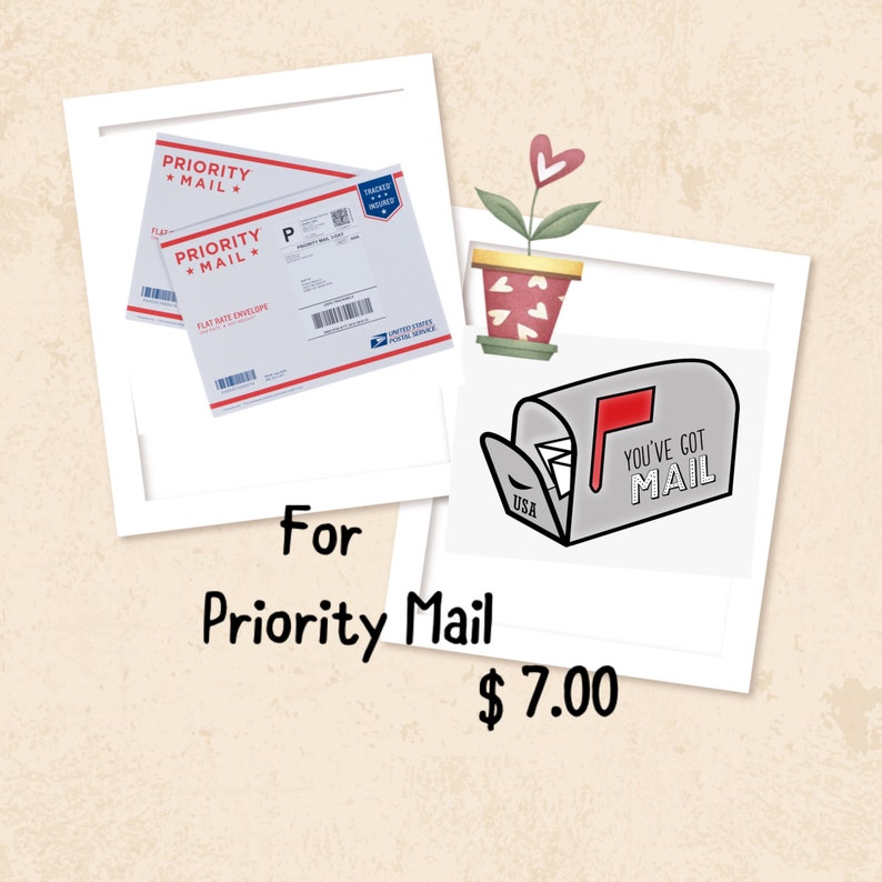 Priority mail. Expedited shipping. image 1