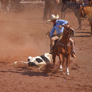 El Charro