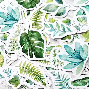 45 pcs . Leaf Stickers . Plant Stickers . Stationary Stickers . Art Journal Stickers . Junk Journal Ephemera . Greenery Leaves Stickers image 1