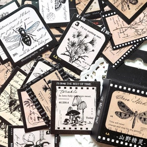 46 pcs . Art Journal Stickers . Vintage Botanical Stickers . Nature Stickers . Flower Stickers . Insect Stickers . Pen Pal Stickers