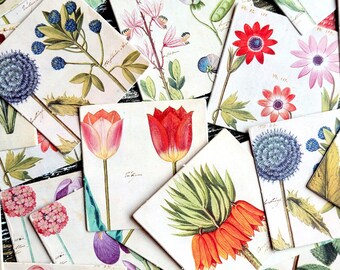 46 pcs . Vintage Botanical Flower Stickers . Junk Journal Stickers . Art Journal Stickers . Colorful Planner Stickers . Stationary Stickers