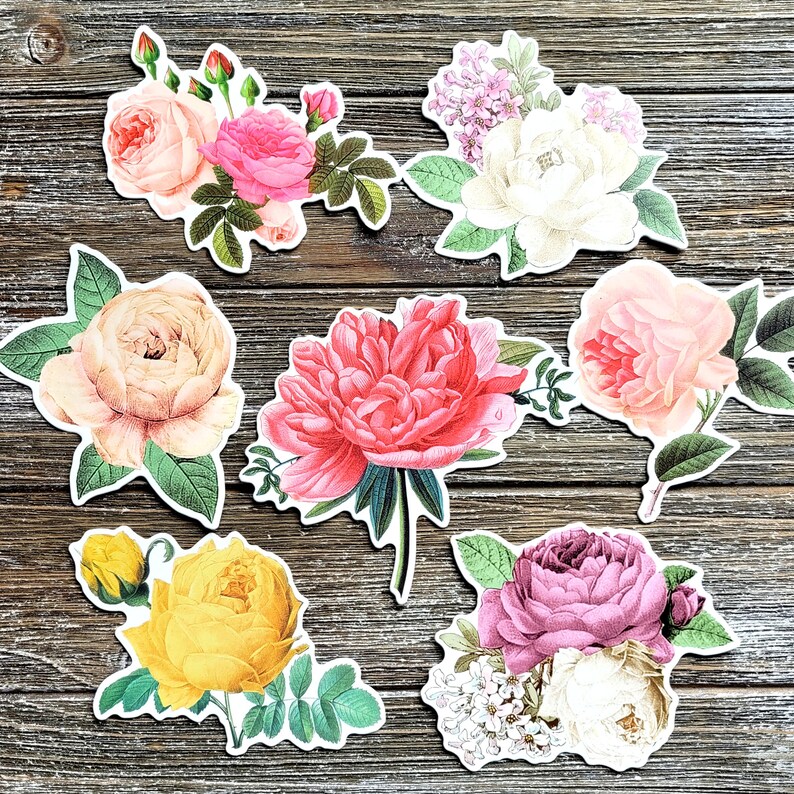 Vintage Flower Stickers . Large Cardstock DieCut Stickers . Set of 7 . Junk Journal Ephemera Art Journal Supplies . Scrapbooking . Glue Book imagen 5