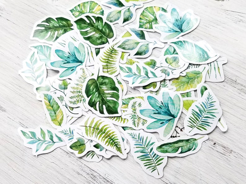45 pcs . Leaf Stickers . Plant Stickers . Stationary Stickers . Art Journal Stickers . Junk Journal Ephemera . Greenery Leaves Stickers image 1
