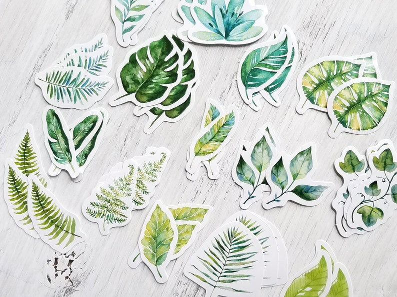 45 pcs . Leaf Stickers . Plant Stickers . Stationary Stickers . Art Journal Stickers . Junk Journal Ephemera . Greenery Leaves Stickers image 2