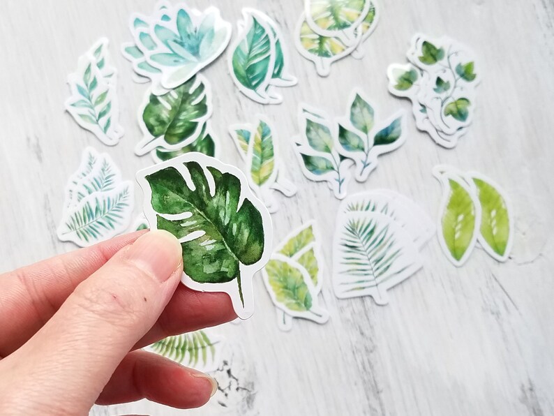 45 pcs . Leaf Stickers . Plant Stickers . Stationary Stickers . Art Journal Stickers . Junk Journal Ephemera . Greenery Leaves Stickers image 3