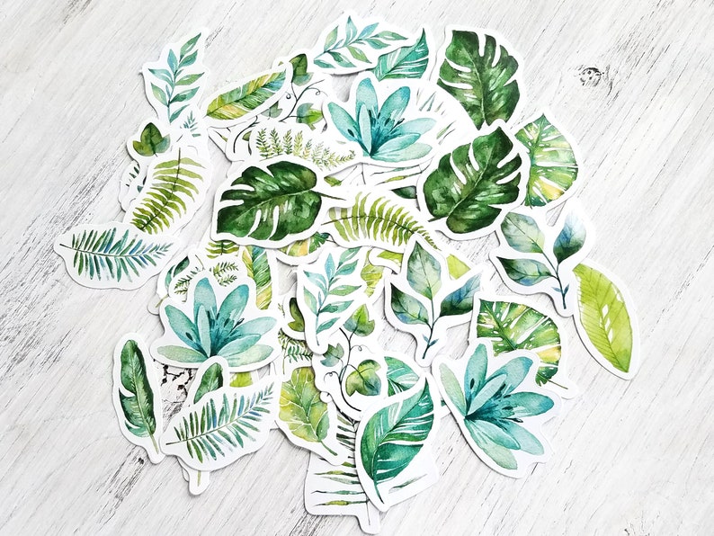 45 pcs . Leaf Stickers . Plant Stickers . Stationary Stickers . Art Journal Stickers . Junk Journal Ephemera . Greenery Leaves Stickers image 4