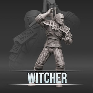 Unique The Witcher 3D Model for Your Collection
