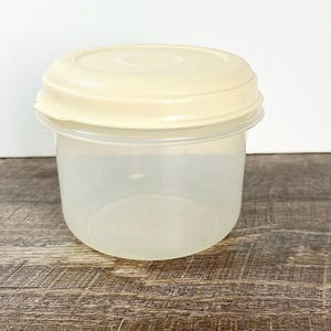 Vintage Rubbermaid Servin Saver bowl #7 three cups size almond lid