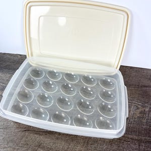 May include: A rectangular plastic egg storage container with a clear base featuring twenty-one molded oval indentations for individual eggs and a solid off-white lid that is hinged and open, revealing the interior organization of the tray.