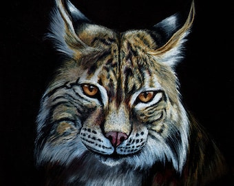 Bobcat Digital Print by Sherrie Spencer