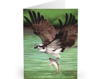 Osprey Greeting Cards (5 Pack)