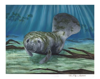 Manatee  5" x 7" Print by Artist Sherrie Spencer