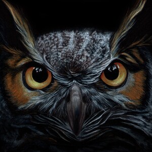 The Great Horned Owl 11" x 14" Digital Print by Artist Sherrie Spencer