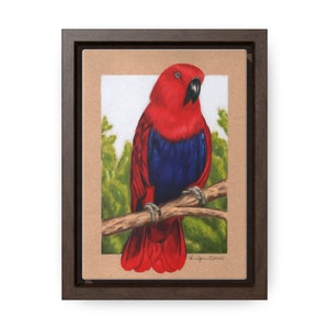 Eclectus Parrot Gallery Canvas Wraps, Vertical Frame