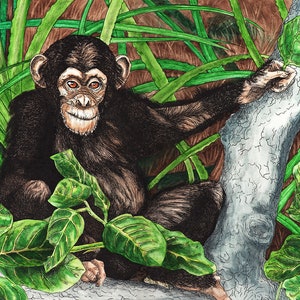 Impressão digital de chimpanzé pela artista Sherrie Spencer