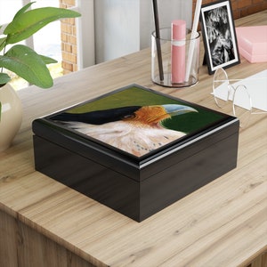 Northern Crested Caracara Jewelry Box