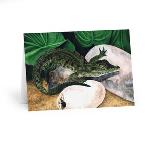 Cartes de vœux Crocodile Hatchling (Pack de 5)