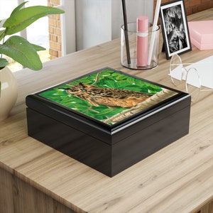 Eurasian Eagle Owl Jewelry Box