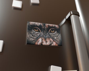 Bouton aimanté yeux de la jungle (chimpanzé), rectangle