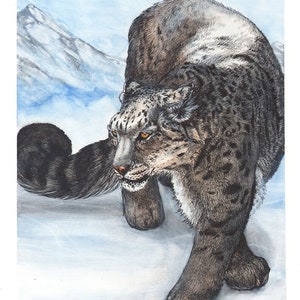Florida Panther Original Artwork by Artist Sherrie Spencer