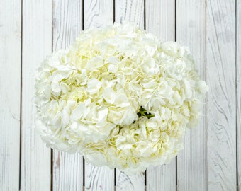 Fresh White Hydrangeas - Premium Wedding & Event Blooms, 10 Stems