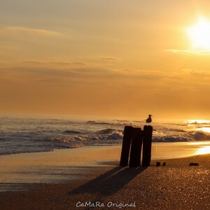 Sunset as a Seagull Poses on the Jetty Photograph, Nature Print, Wall Art, Beach Print, Ocean Image