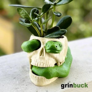 Pode incluir: Um vaso de caveira branco com cobras verdes enroladas ao redor. A caveira tem uma planta crescendo no topo. O vaso é feito de cerâmica e tem um acabamento brilhante.
