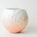 see more listings in the Paper Vessels section