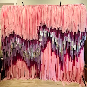 Perfectly Pink | Pink, Purple and Silver | Fringe  Photo Backdrop