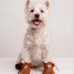 May include: A West Highland White Terrier dog sitting upright, wearing a pair of brown suede booties with white faux fur lining and brown laces tied in a bow at the front. The dog has white fur, pointed ears, and a black nose and eyes.