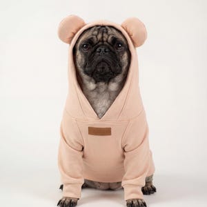 May include: A light pink pet hoodie featuring a hood with two rounded ears on top and a brown rectangular patch on the chest with the text MASCOTAS embossed in a dark color. The garment has long sleeves and a V-neck opening at the hood base.