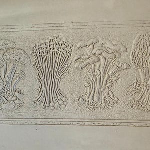 May include: A light beige, rectangular clay slab featuring a horizontal relief carving of five distinct mushroom varieties. The detailed, raised botanical illustrations include clusters of cap mushrooms, tall enoki, and textured morel mushrooms.