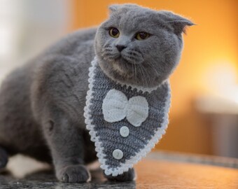 Graue süße Katze ohne Halsband – Gestrickte Katzenkleidung – handgemachtes buntes Katzenaccessoire – Halsband für Katze – Katzenoutfit – Geschenk für Katze