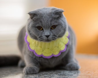 Chat jaune mignon sans collier - vêtements de chat en tricot - accessoire de chat coloré fait main - collier pour chat - tenue de chat - cadeau pour chat