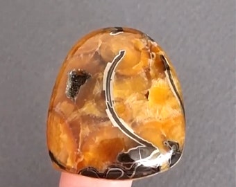 Rara simbircita-amonita de alta calidad con cabujón de piedra natural de pirita plateada 40 x 33 x 9 mm, cabujón para joyería, piedra rusa