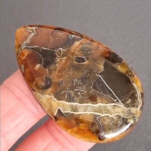 Rara simbicite-ammonite di alta qualità con cabochon in pietra naturale di pirite d'argento 49 x 30 x 6 mm, cabochon per gioielli, pietra russa immagine 2