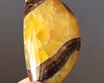 Seltener hochwertiger Simbirzit-Ammonit mit silbernem Pyrit-Naturstein-Cabochon 46 x 24 x 7 mm, Cabochon für Schmuck, russischer Stein