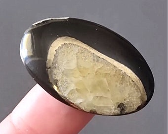 Seltener hochwertiger Simbirzit-Ammonit mit silbernem Pyrit-Naturstein-Cabochon 38 x 23 x 6 mm, Cabochon für Schmuck, russischer Stein