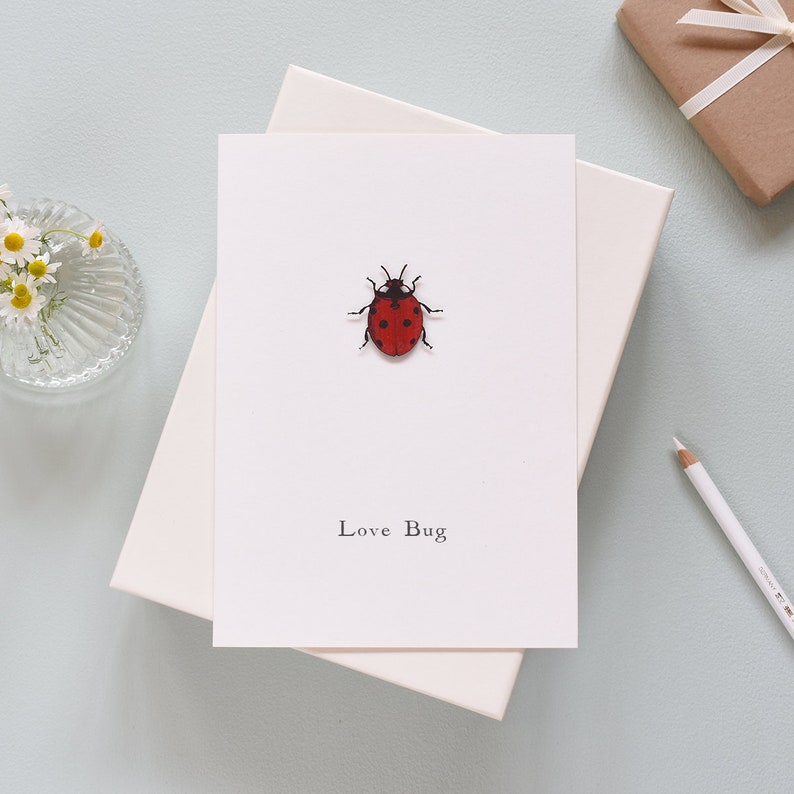 Personalised Love Bug Valentines Day Card, Luxury Ladybird Card, ladybug Valentine's card, Romantic Card For Her, 3D Papercut Card image 3