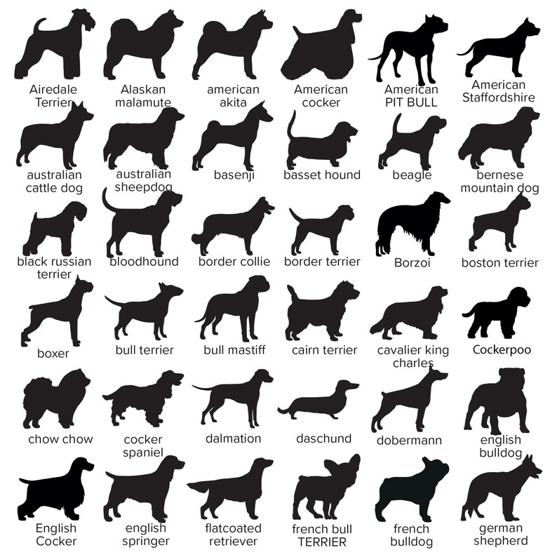 May include: Silhouettes of 36 different dog breeds, including Airedale Terrier, Alaskan Malamute, American Akita, American Cocker Spaniel, American Pit Bull Terrier, American Staffordshire Terrier, Australian Cattle Dog, Australian Shepherd, Basenji, Basset Hound, Beagle, Bernese Mountain Dog, Black Russian Terrier, Bloodhound, Border Collie, Border Terrier, Borzoi, Boston Terrier, Boxer, Bull Terrier, Bull Mastiff, Cairn Terrier, Cavalier King Charles Spaniel, Cockerpoo, Chow Chow, Cocker Spaniel, Dalmatian, Dachshund, Doberman Pinscher, English Bulldog, English Cocker Spaniel, English Springer Spaniel, Flat-Coated Retriever, French Bull Terrier, French Bulldog, German Shepherd.