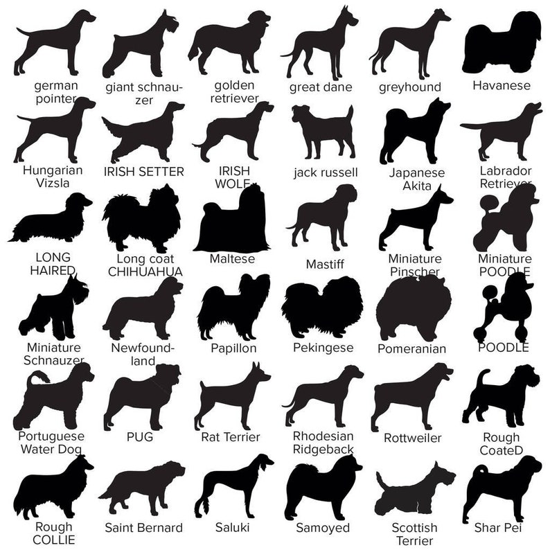 May include: Silhouettes of 25 different dog breeds, including German Pointer, Giant Schnauzer, Golden Retriever, Great Dane, Greyhound, Havanese, Hungarian Vizsla, Irish Setter, Irish Wolfhound, Jack Russell, Japanese Akita, Labrador Retriever, Longhaired Dachshund, Long Coat Chihuahua, Maltese, Mastiff, Miniature Pinscher, Miniature Poodle, Miniature Schnauzer, Newfoundland, Papillon, Pekingese, Pomeranian, Poodle, Portuguese Water Dog, Pug, Rat Terrier, Rhodesian Ridgeback, Rottweiler, Rough Coated Collie, Saint Bernard, Saluki, Samoyed, Scottish Terrier, and Shar Pei.