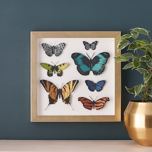 Paper Cut Butterfly Art, Hand painted paper cut butterfly framed wall art, Butterfly Art Print, 3D Butterfly Wall Art, Gift For Her