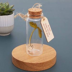 Cadeau de remerciement pour l'enseignant, merci de m'avoir aidé à cultiver une bouteille de message de semis, meilleur cadeau de jardinage pour enseignant, cadeau unique pour un enseignant