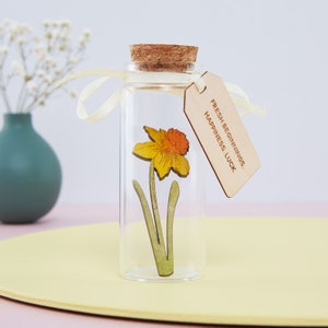 Fathers Day Gift, Garden Gift for Dad, Thank You For Helping Me Grow Daffodil Message Bottle, Flower Gift For Dad, Gift For Him image 3