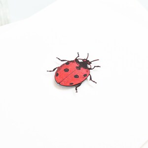 Personalised Love Bug Valentines Day Card, Luxury Ladybird Card, ladybug Valentine's card, Romantic Card For Her, 3D Papercut Card image 2