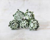 5 30mm succulent green mulberry paper ranunculus, paper flowers with wire stems