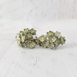20 15mm dusty green  paper forget me not, embossed paper double layers flowers, 1.5 cm
