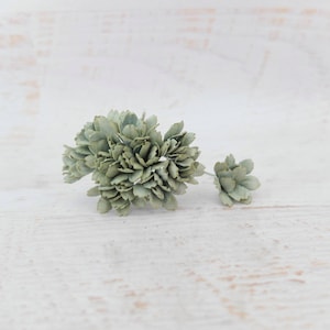 20 20mm Salbei Eukalyptus Sukkulenten grüne Blumen, 2 cm Blumen